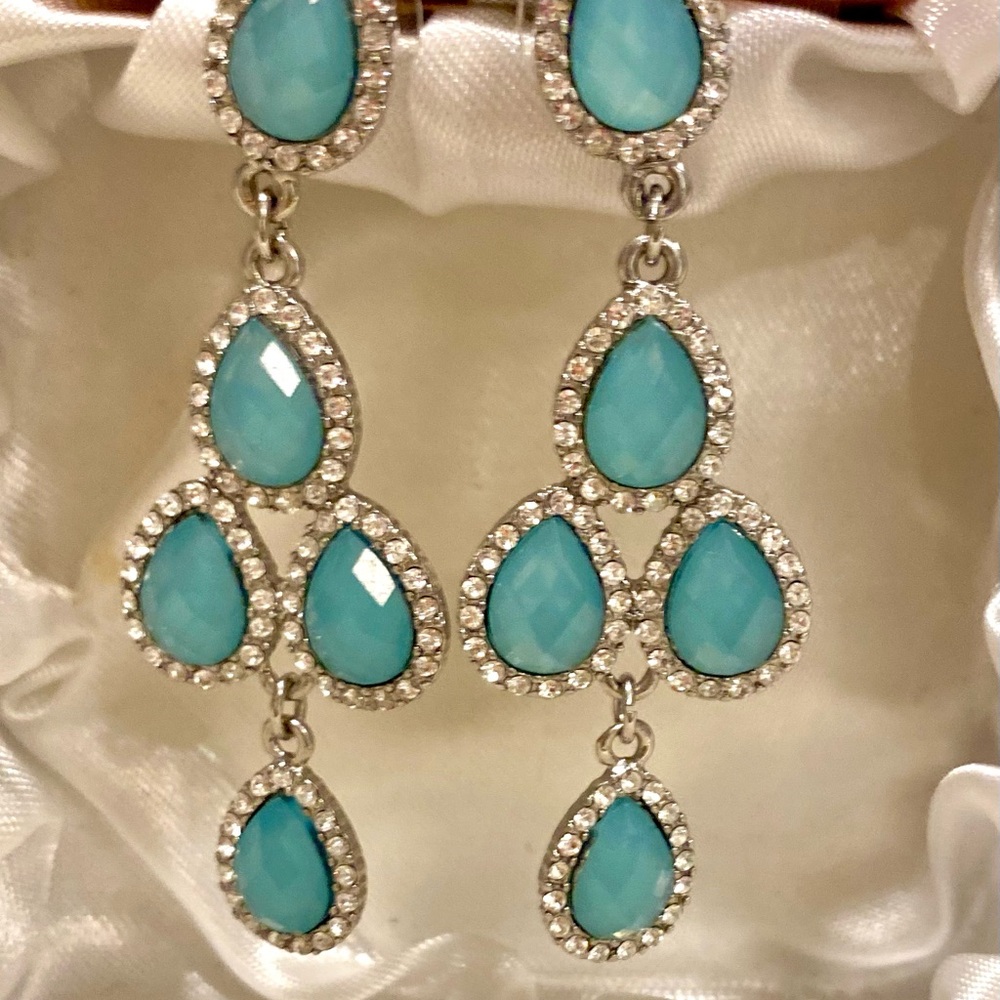 Elegant Silver and Turquoise Drop Earrings from STITCH FIX.